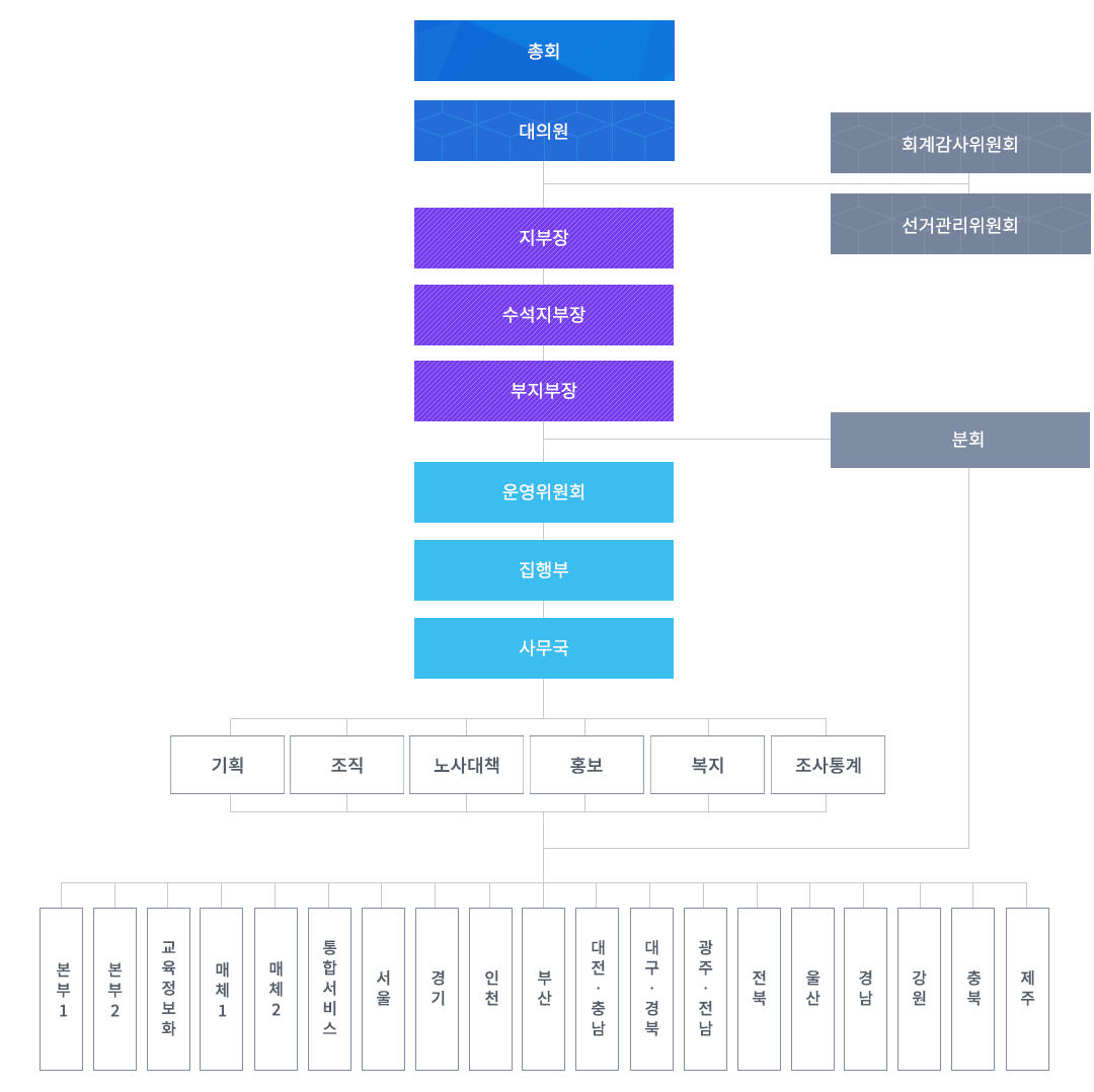 총회 밑에 대의원 밑에 회계감사위원회,선거관리위원회 밑에(지부장/수부지부장/부지부장) 밑에 운영위원회밑에 분회 밑에 집행부 밑에 사무국 밑에 (기회/조직/노사대책/홍보/복지/조사통계) 밑에  본부1/본부2/교육정보화/매체1/매체2/통합서비스/서울/경기/인천/부산/대전·충남/대구·경북/광주·전남/울산/경남/강원/충북/제주
